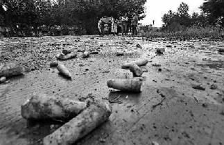 内蒙数万吨胡萝卜滞销 农民称“血本无归”怨政府