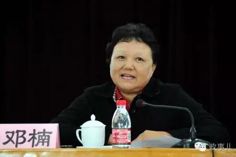 据《科技日报》报道，邓楠在科协工作的6年多时间(2004年10月至2011年5月)，主持科协日常工作，“她倾尽心力建设中国科协这个'科技工作者之家'，给科协工作带来巨大的改变”。