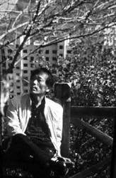 张某没有想到，在他人照片上无意中充当的“人肉背景”成了警方抓获他的重要线索（局部放大图）。警方供图