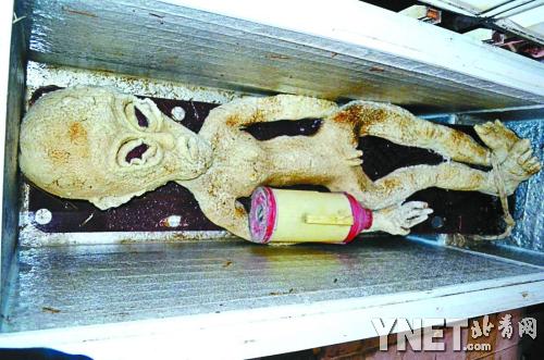 　这就是李某放在冰柜里的外星人（图片来自网络）  