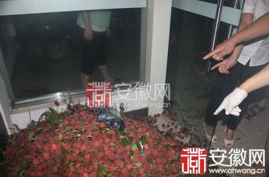 合肥破获特大贩毒案 7000斤荔枝里翻出5斤冰毒
