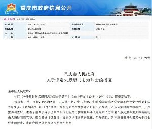 重庆市人民政府网截图