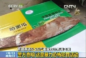 新疆鄯善暴恐案3人获判死刑 持刀砍杀致24人亡