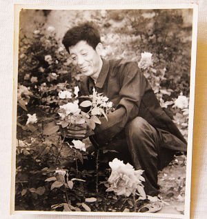 ■改革开放之初甘国田种植月季。本报记者 郄磊 翻拍