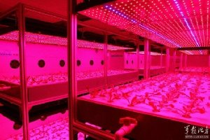 中国在地球建“月宫一号”：为移居月球做准备