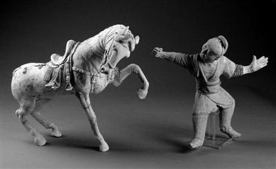 马类发展史：世界唯一野马曾存新疆 引多国抢夺