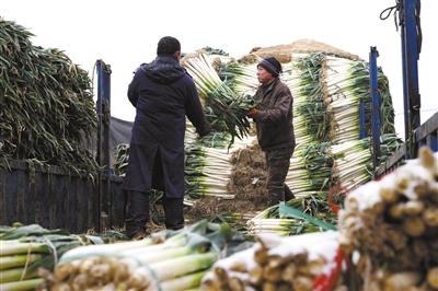 多条高铁因雪降速运行 京沪高铁最慢时速如单车