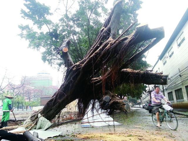 广东多地遭暴雨冰雹袭击 143县市发布灾害预警