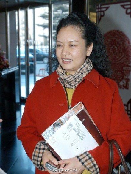 港媒：彭丽媛最新智能手机系国产nubia Z5 mini