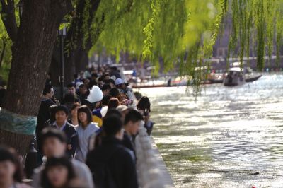 昨天，什刹海景区人流如织。京华时报记者王苡萱摄