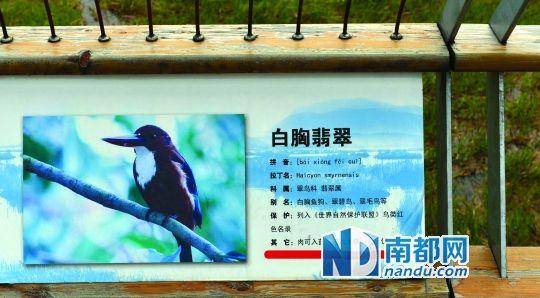云南景区鸟类介绍牌被质疑制成
