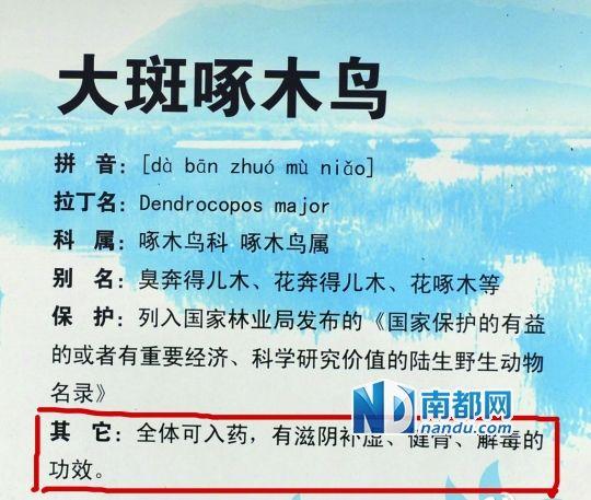 云南景区鸟类介绍牌被质疑制成