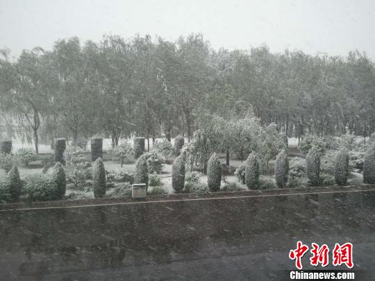 当天早晨,山西忻州、朔州一带突然降雪。 网友提供摄