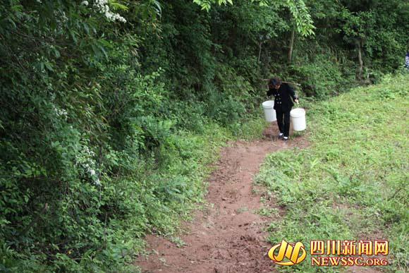 四川渠县一山村小学严重缺水 老师挑水挑到哭(图)