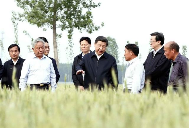 习近平考察河南看麦情：今年的馍能吃上了(图)