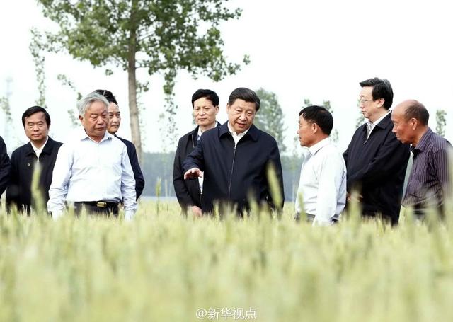 习近平：基层形式主义根源在上行下效