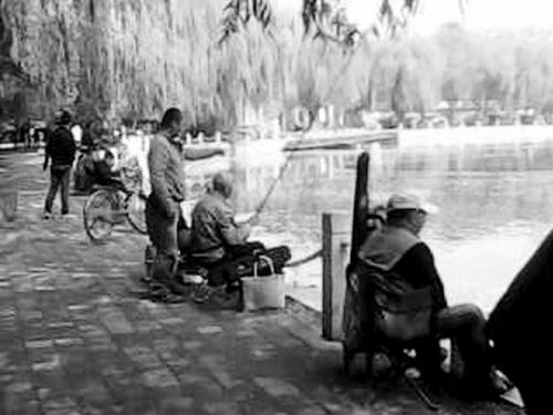 好心人公园湖边放生鱼苗 引来无数垂钓下网者