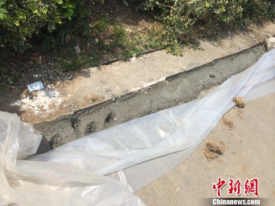 图为用混凝土浇灌的地表裂缝。 杨颜慈 摄