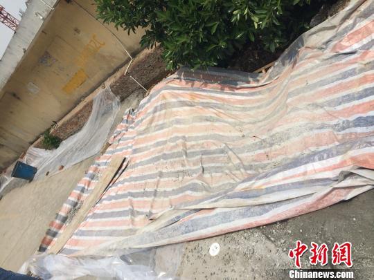 图为被覆盖住的地面塌陷。杨颜慈摄