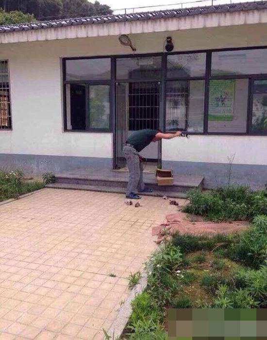 杭州犬类收容所人员当着狗妈妈摔死7只小狗