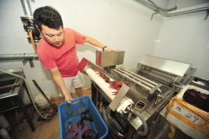 南京80后龙虾店主花15万元自制洗虾机(图)