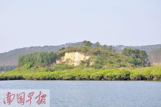 被红树林环绕的穿牛鼻岭。 自治区海洋局海域和海岛管理处供图