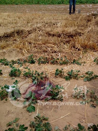 嫌犯劫持儿童被击毙续：公安局长欲换人质被拒