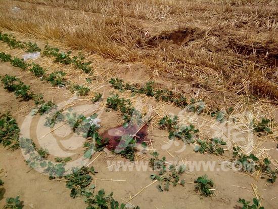 嫌犯劫持儿童被击毙续：公安局长欲换人质被拒