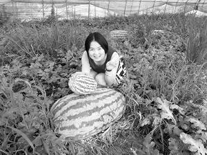 江苏宿迁培育出112斤重超级“西瓜王”(图)