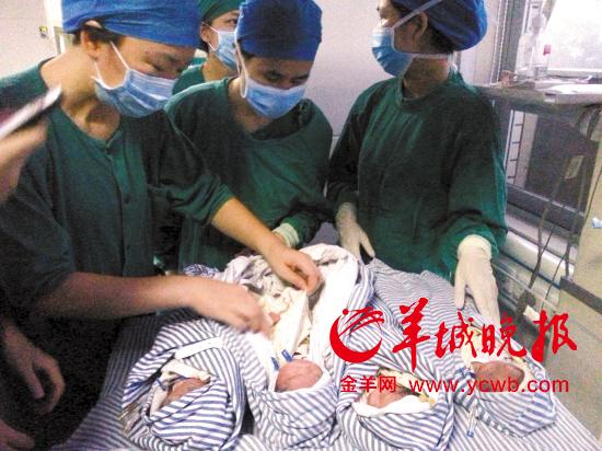 一胎诞下三女一男四婴儿