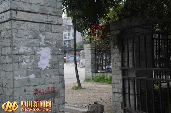 2岁娃在妈妈眼皮下被抢走 过后被人从菜场捡回