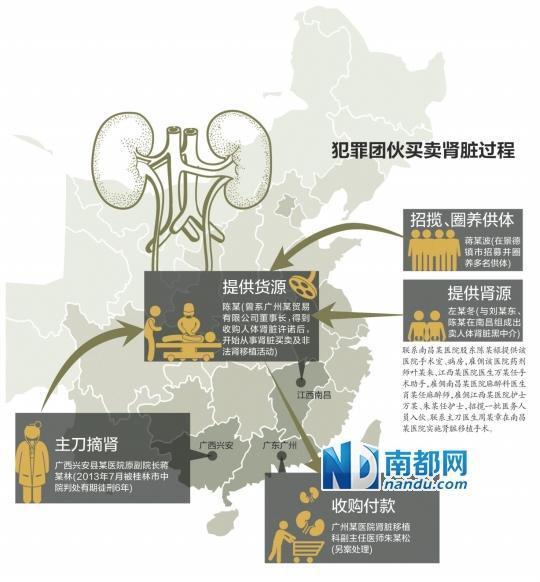 团伙“圈养”近40人摘除肾脏23个 12名成员被判刑