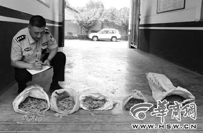 多名施工人员和居民私自将古币带走 宝鸡警方已追缴约40公斤