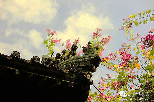 国学与社会主义核心价值观——自由