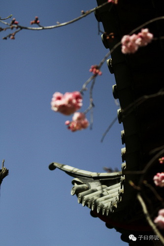 国学与社会主义核心价值观——自由