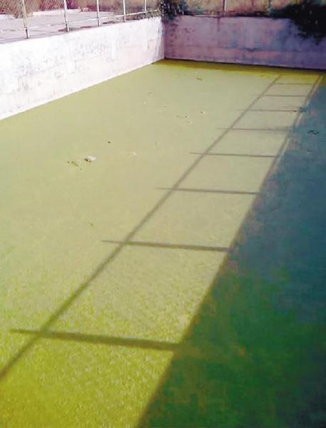 辽宁某食品厂院内藏神秘作坊 加工制药销路不明