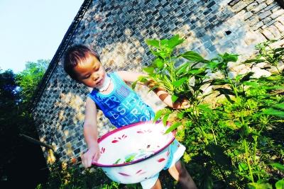 6岁男孩照顾妈妈感动姚晨 愿资助到其大学毕业