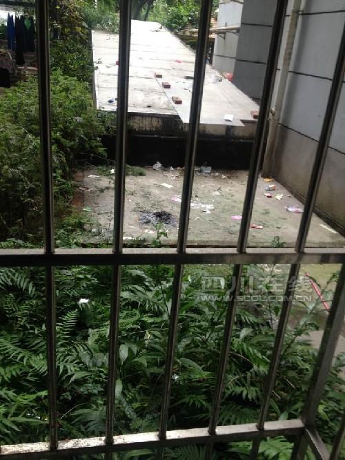 成都13岁女孩疑因玩手机被没收 从11楼坠亡