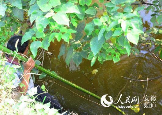 安徽望江男子为救落水老人不幸牺牲(组图)