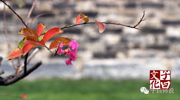国学与社会主义核心价值观——友善 国学与社会主义核心价值观——友善
