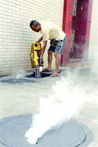 广东台湾等地登革热病例超常暴涨