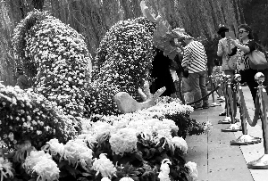 天气不理想 室内场馆爆棚