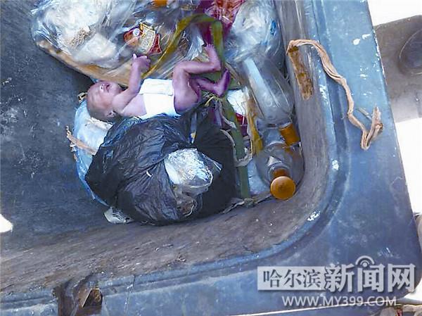 哈尔滨两斤重赤身早产女婴被遗弃垃圾桶(图)
