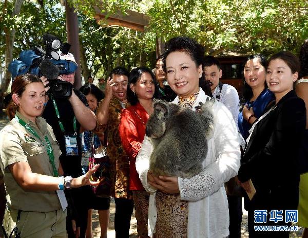（XHDW）（3）彭丽媛出席澳大利亚为与会领导人配偶举行的参观活动