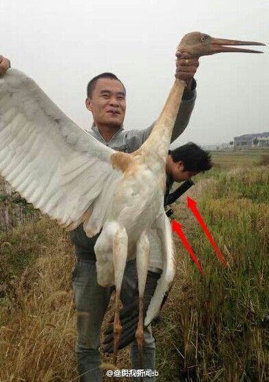 男子被曝在雅鲁藏布大峡谷猎杀白鹤和豹猫(图)