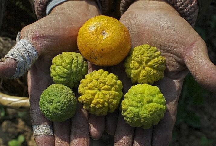 点击进入下一页