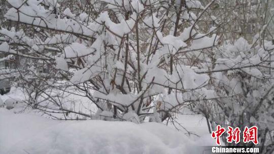 新疆北部遭遇大风大雪致多条公路通行受阻(图)