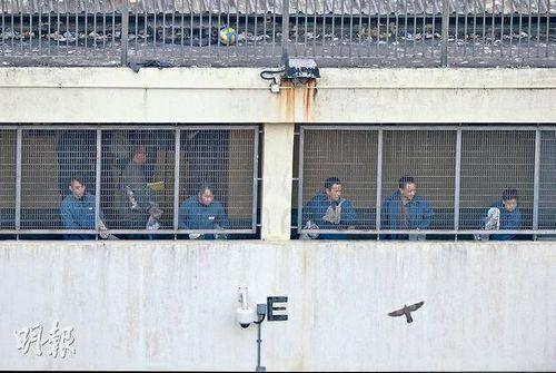 香港法官今日听取许仕仁案4名被告求情