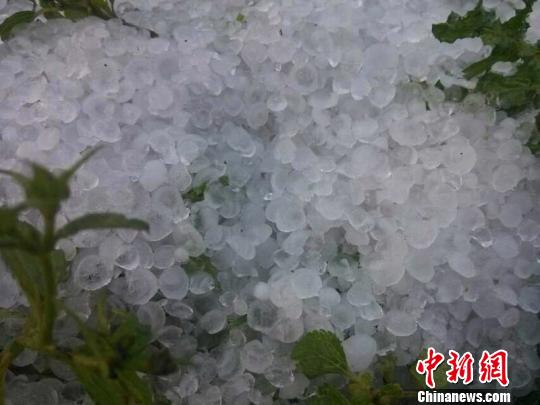 云南德宏突降冰雹农作物受灾严重