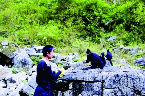 　　黑叶猴一家下山吃晚餐